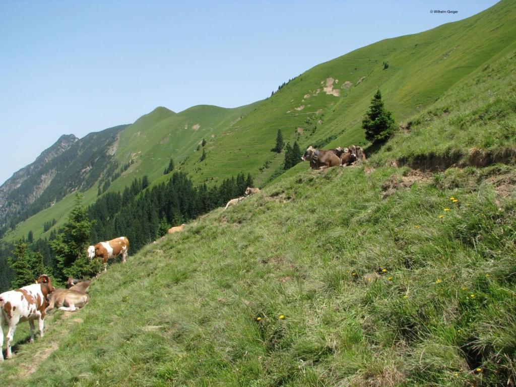 Mountain Hostel Oberstdorf Kültér fotó